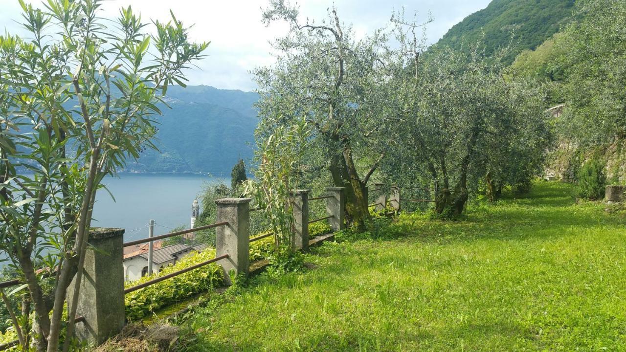 Villa Gli Ulivi Di Nesso Extérieur photo