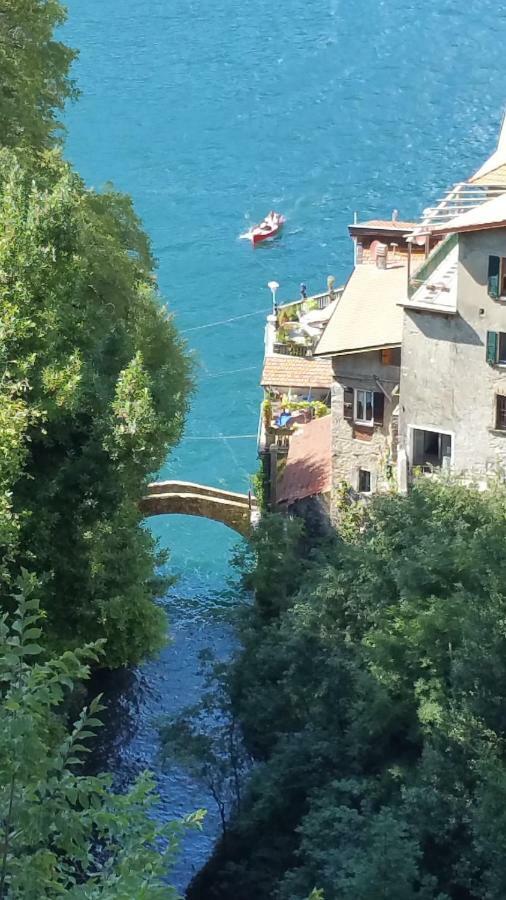 Villa Gli Ulivi Di Nesso Extérieur photo