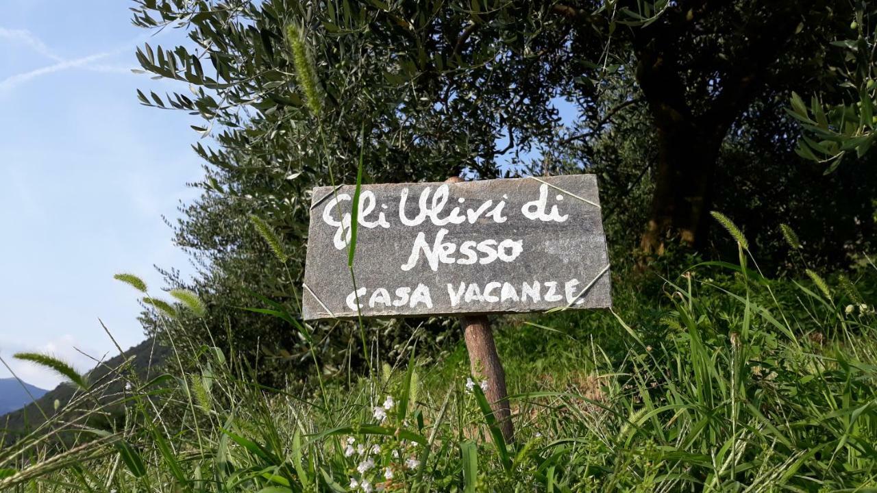 Villa Gli Ulivi Di Nesso Extérieur photo